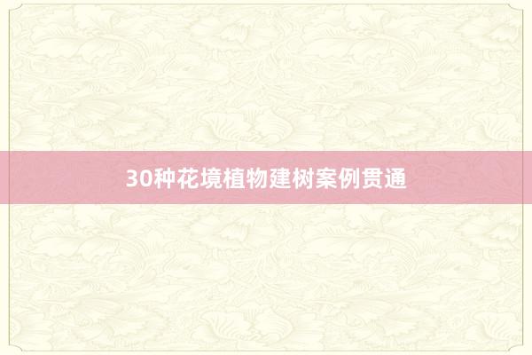 30种花境植物建树案例贯通
