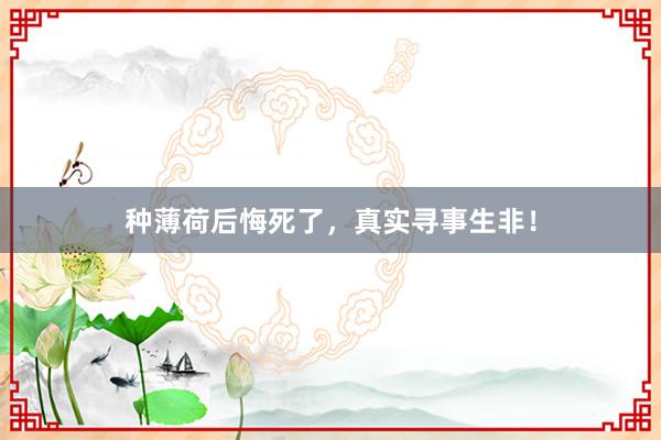 种薄荷后悔死了，真实寻事生非！